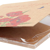 digipack 4P EKO Kraftliner