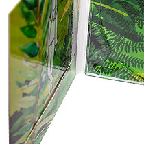 digipack